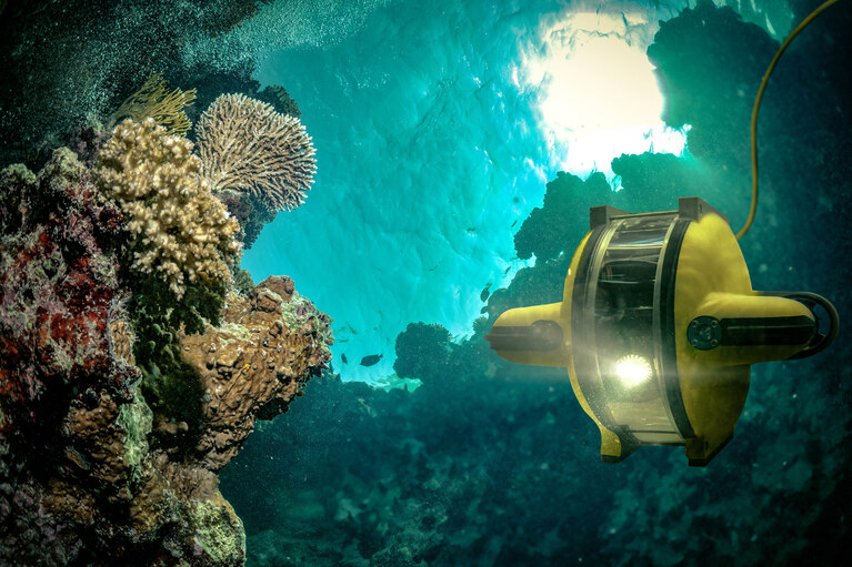 Underwater ROV image