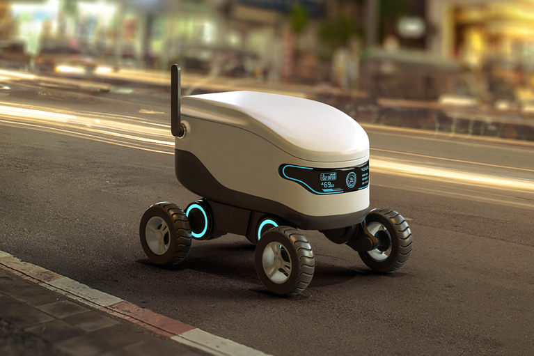 Delivery robot
