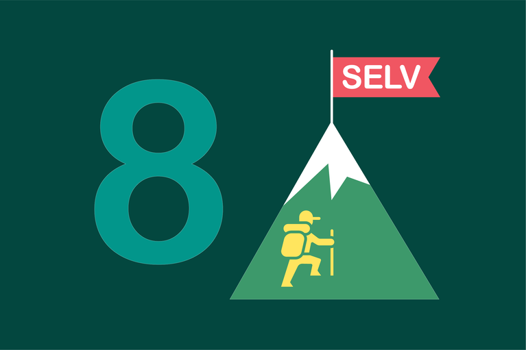 Eight challenges to SELV image