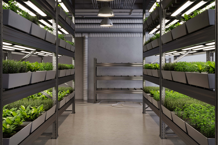 Agriculture lighting image