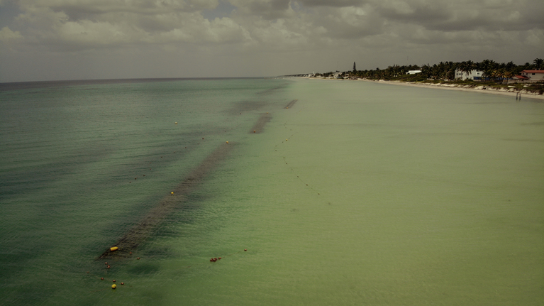 Artificial reef structures submerged along coastline to preserve beaches image