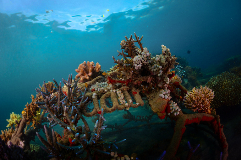 Ccell powering innovation story